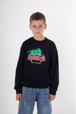 Світшот для хлопчиків